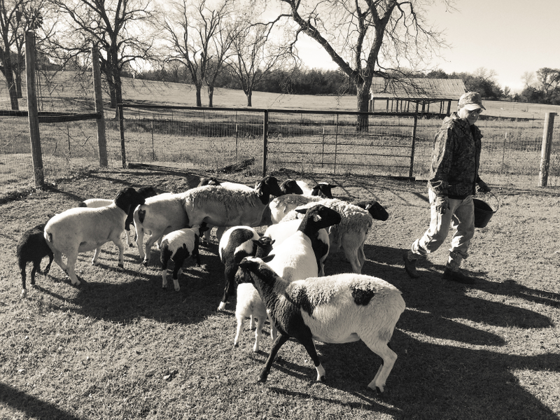 Illustration for article titled Texas